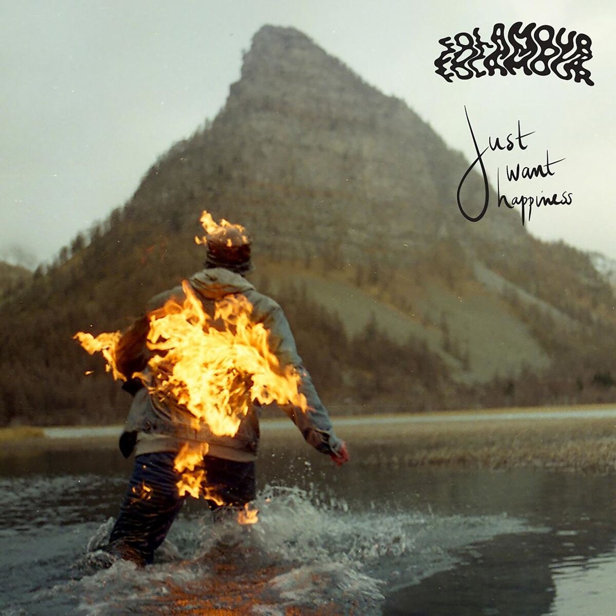 Album cover of Just Want Happiness