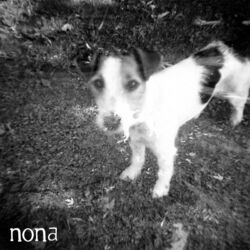 Cover of Split EP with NONA & Crow Bait