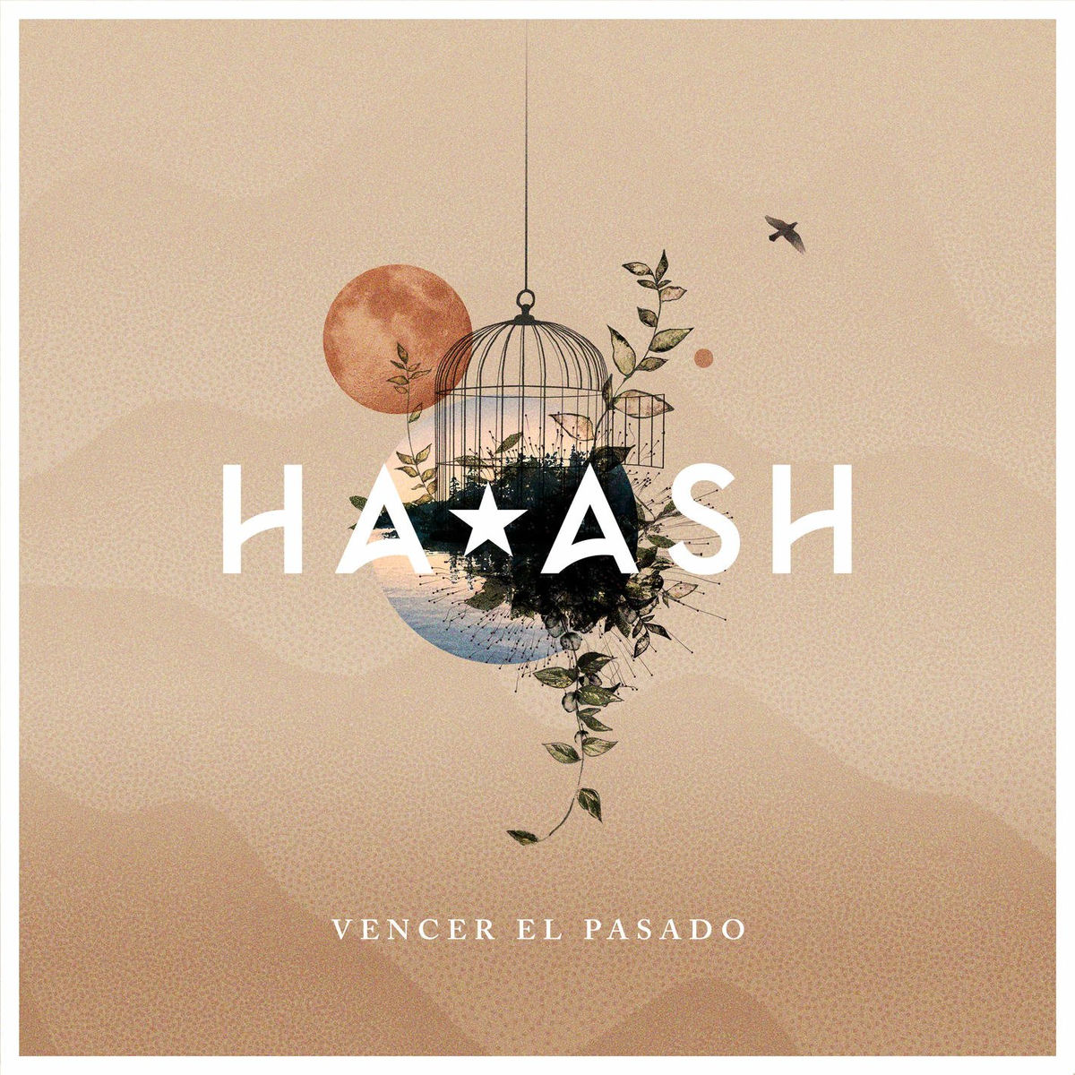 Album picture of Vencer el Pasado