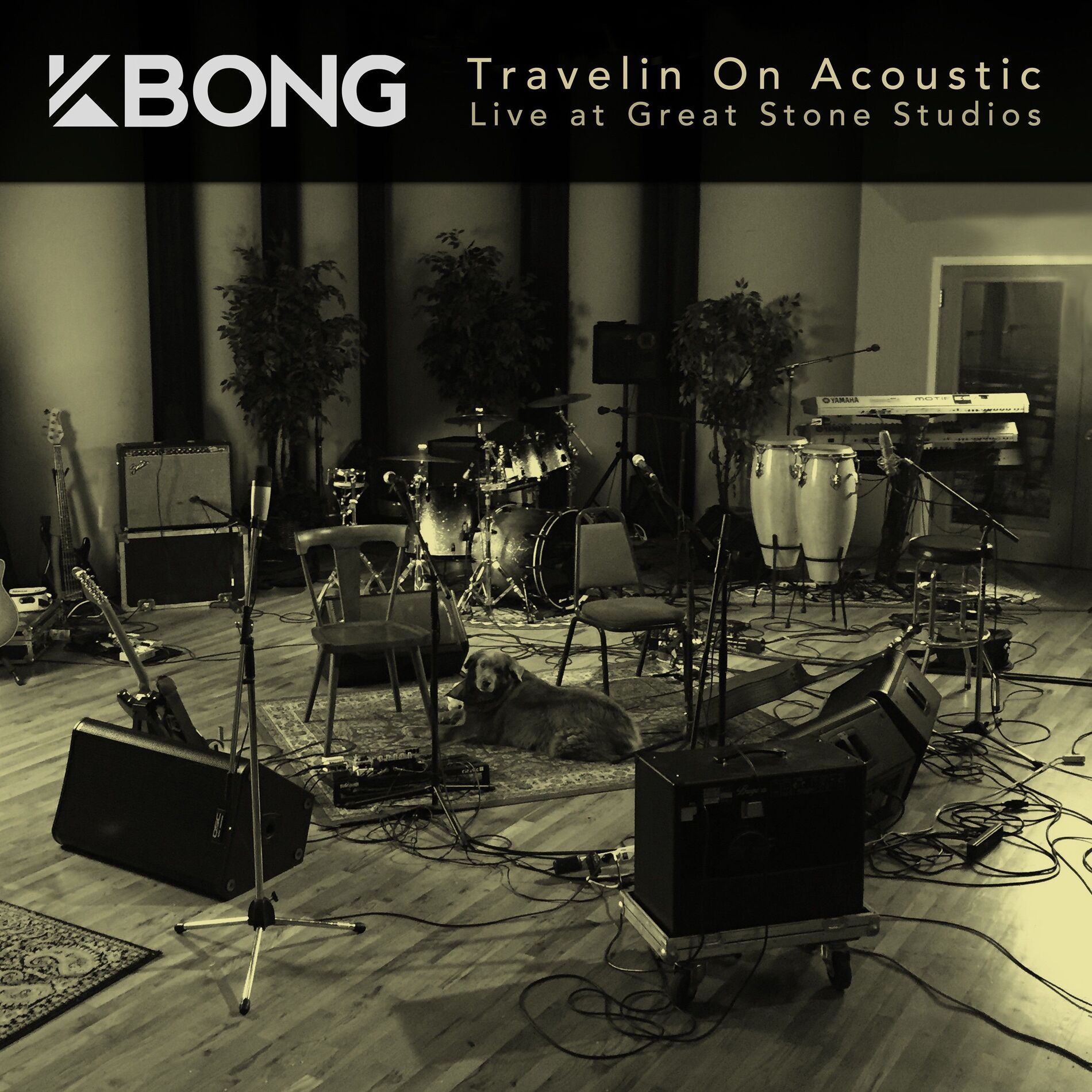 Album cover of Travelin on (Acoustic Live)