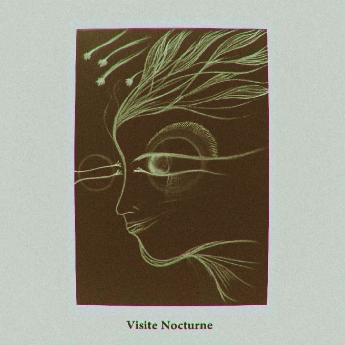 Album cover of Visite nocturne