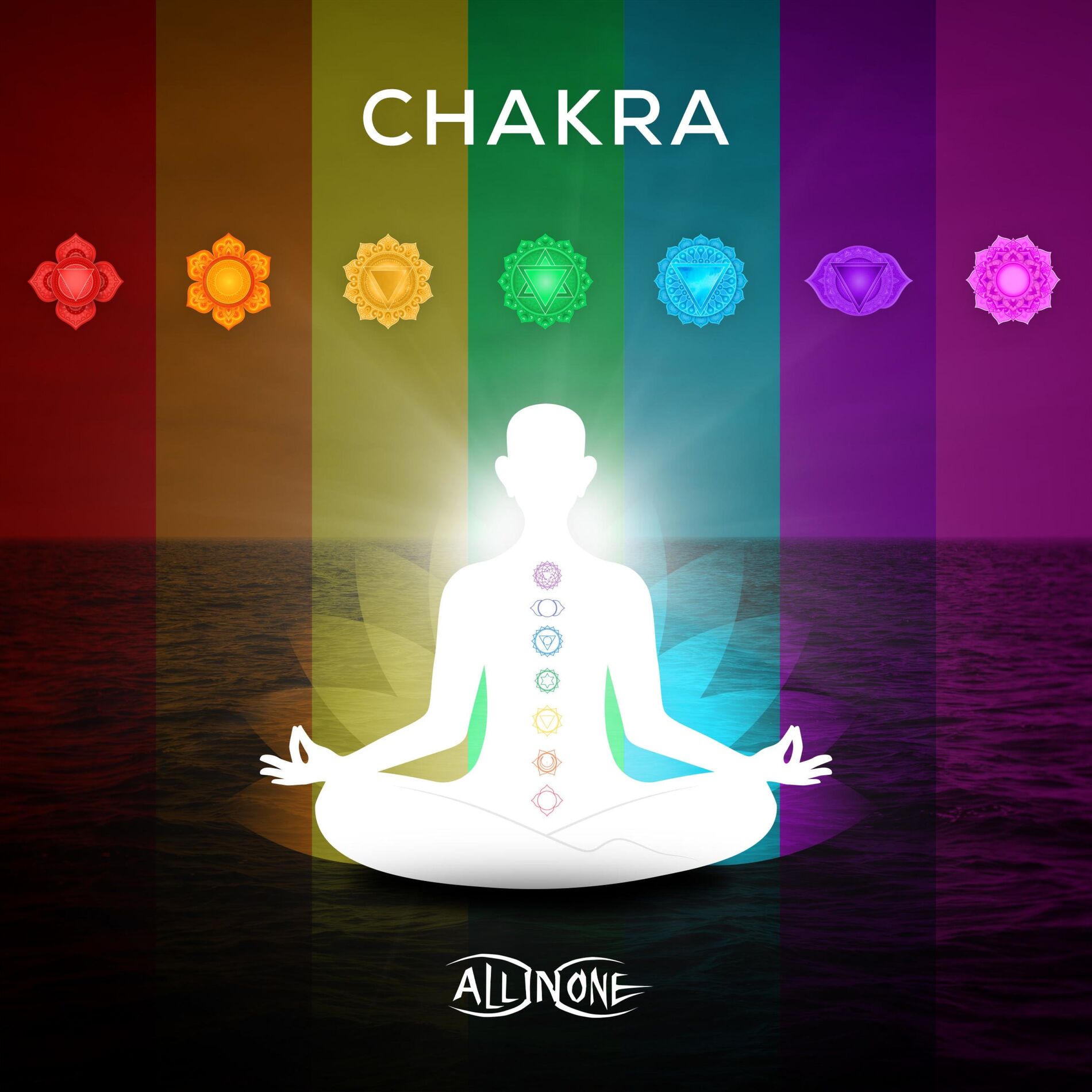 Album cover of The Light