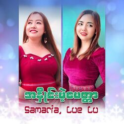 Cover of အနှိုင်းမဲ့မေတ္တာ