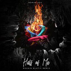 Cover of Half of Me