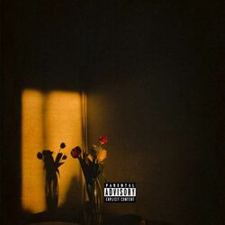 Cover of 22Crash out 22