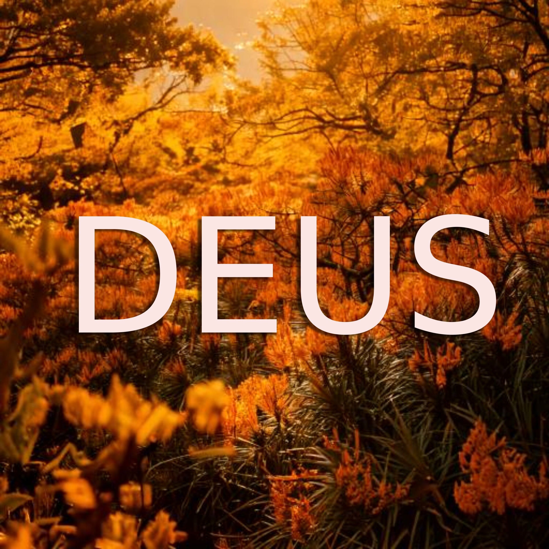Album cover of Deus
