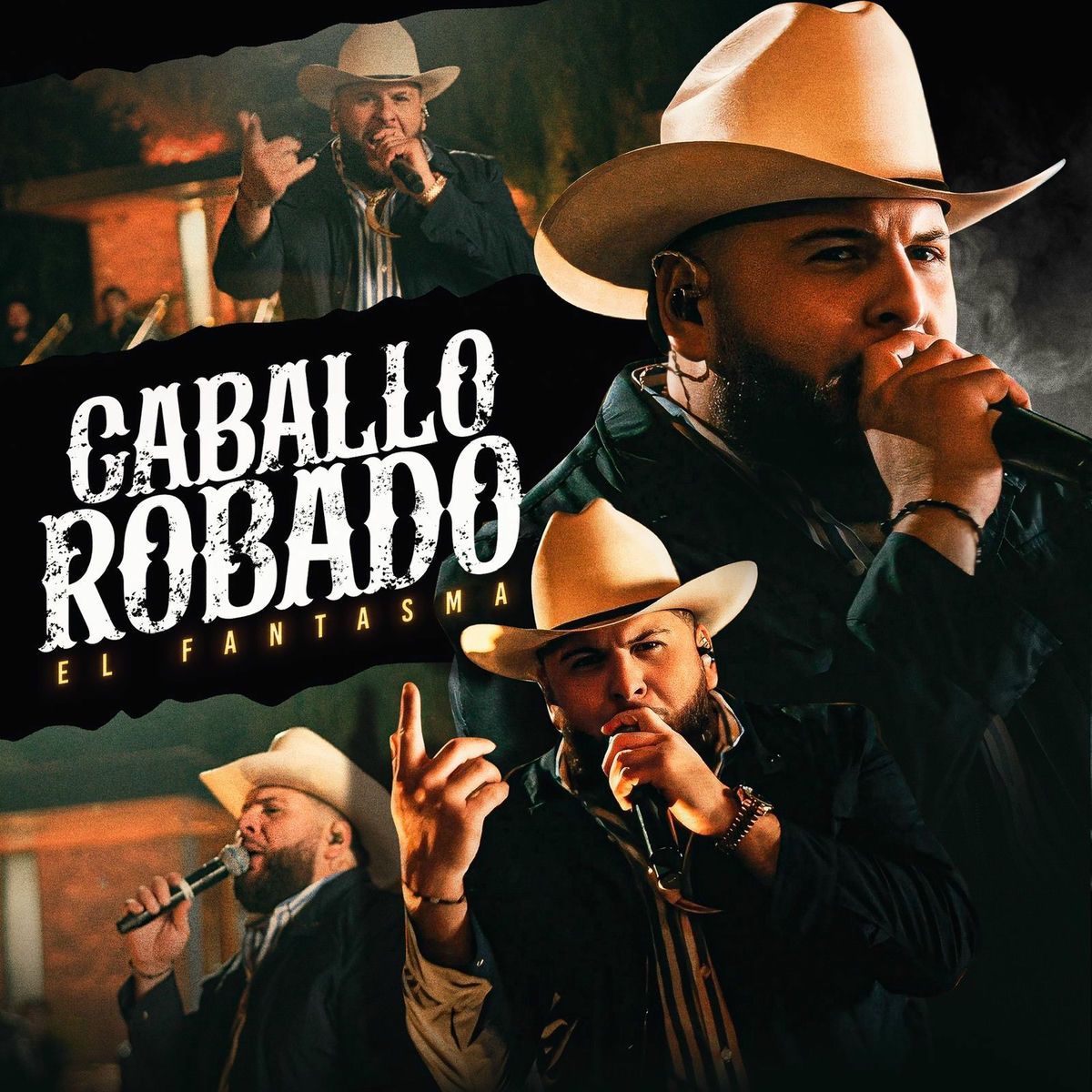 Album cover of Caballo Robado