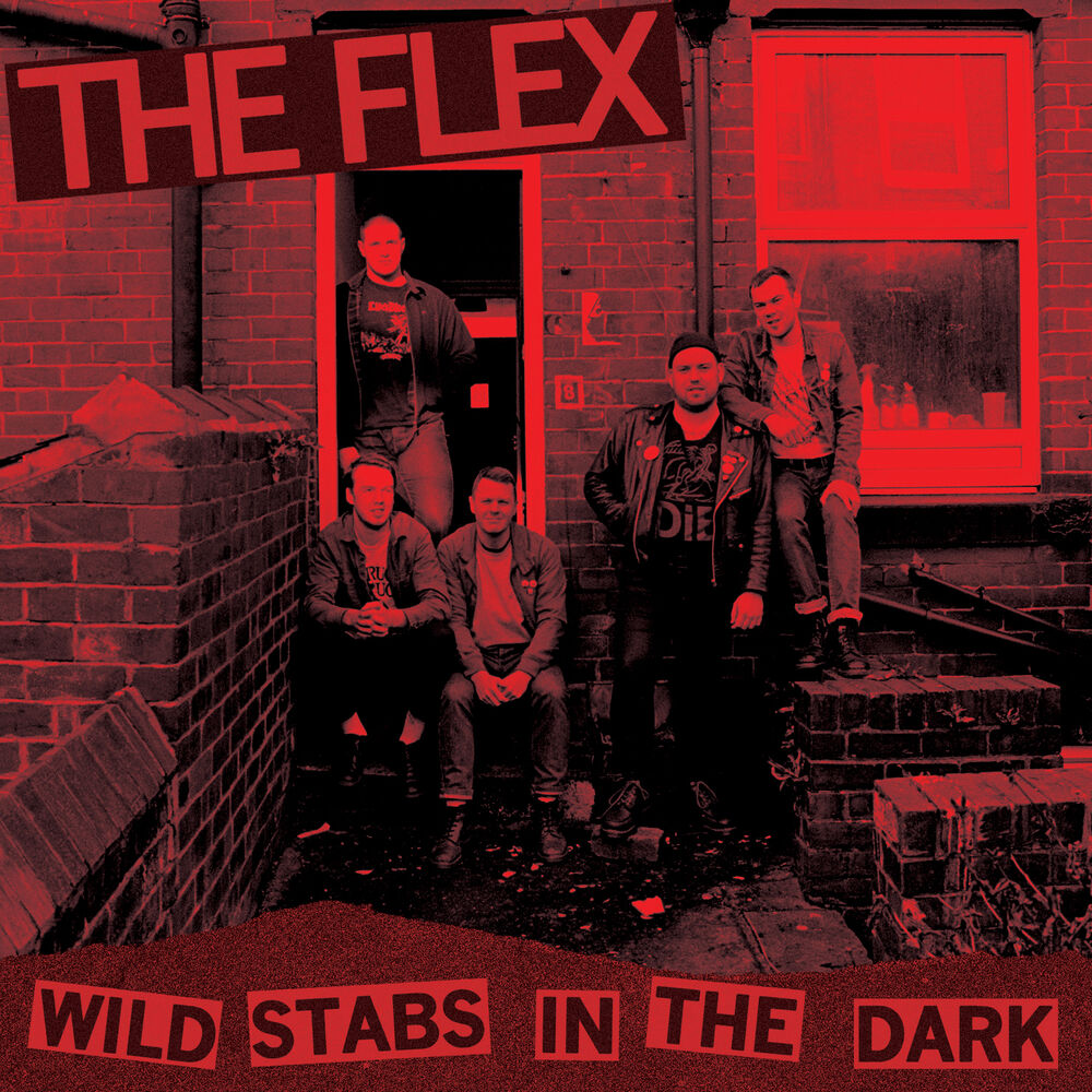 Picture of Wild Stabs in the Dark