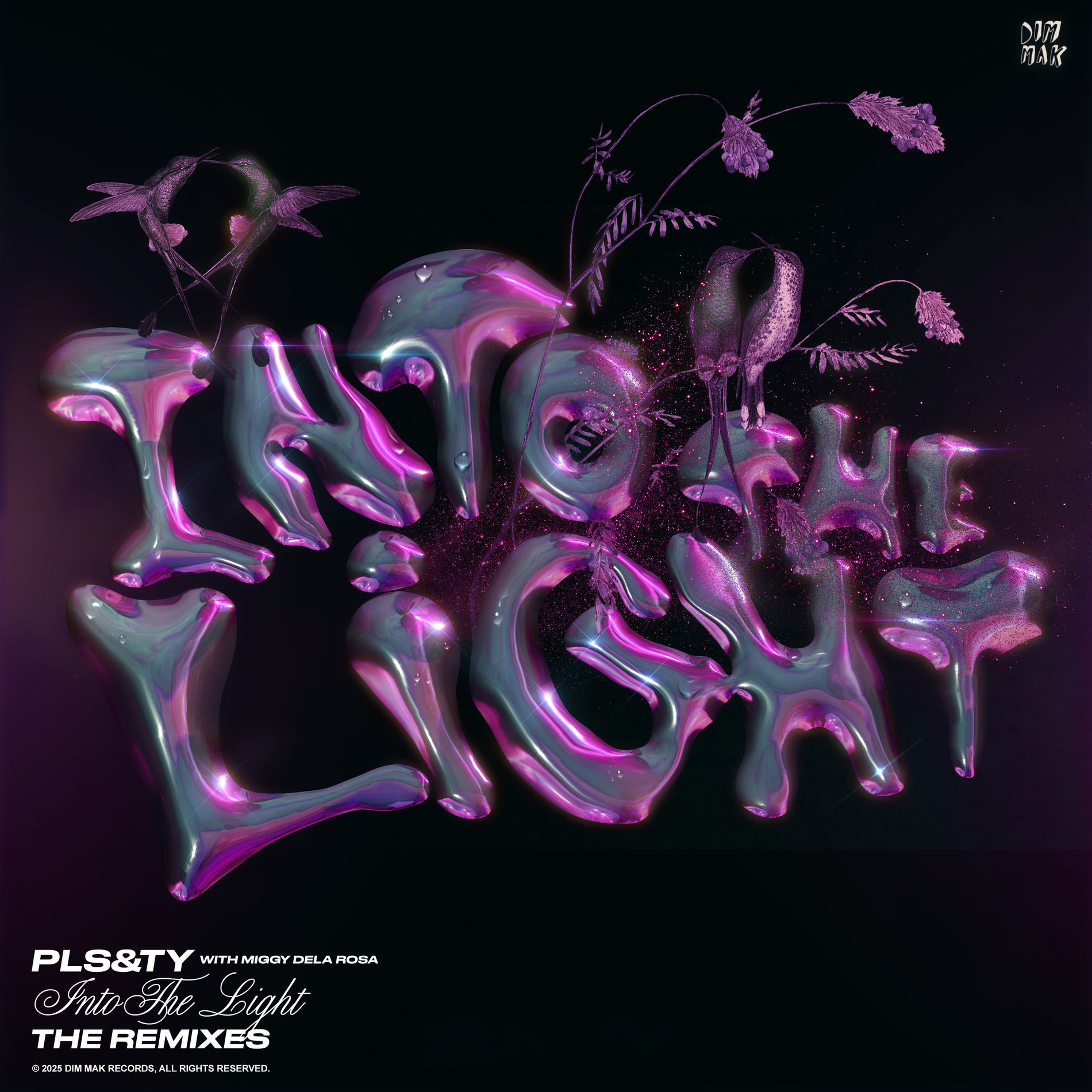 Album cover of Into The Light