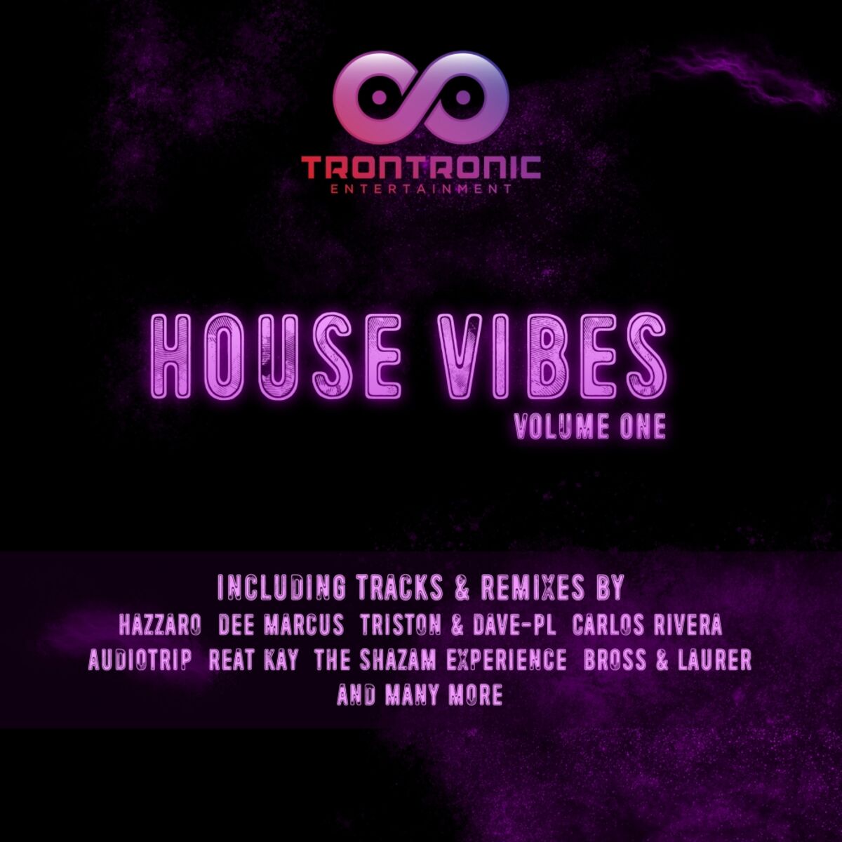 Album cover of House Vibes, Vol. 1