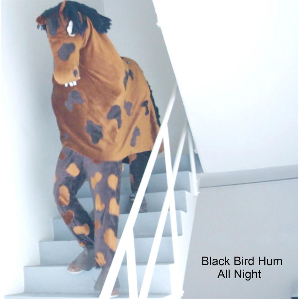 Album artwork for All Night by Black Bird Hum