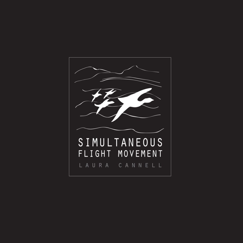 Picture of Simultaneous Flight Movement