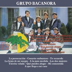 Cover of La Persecución