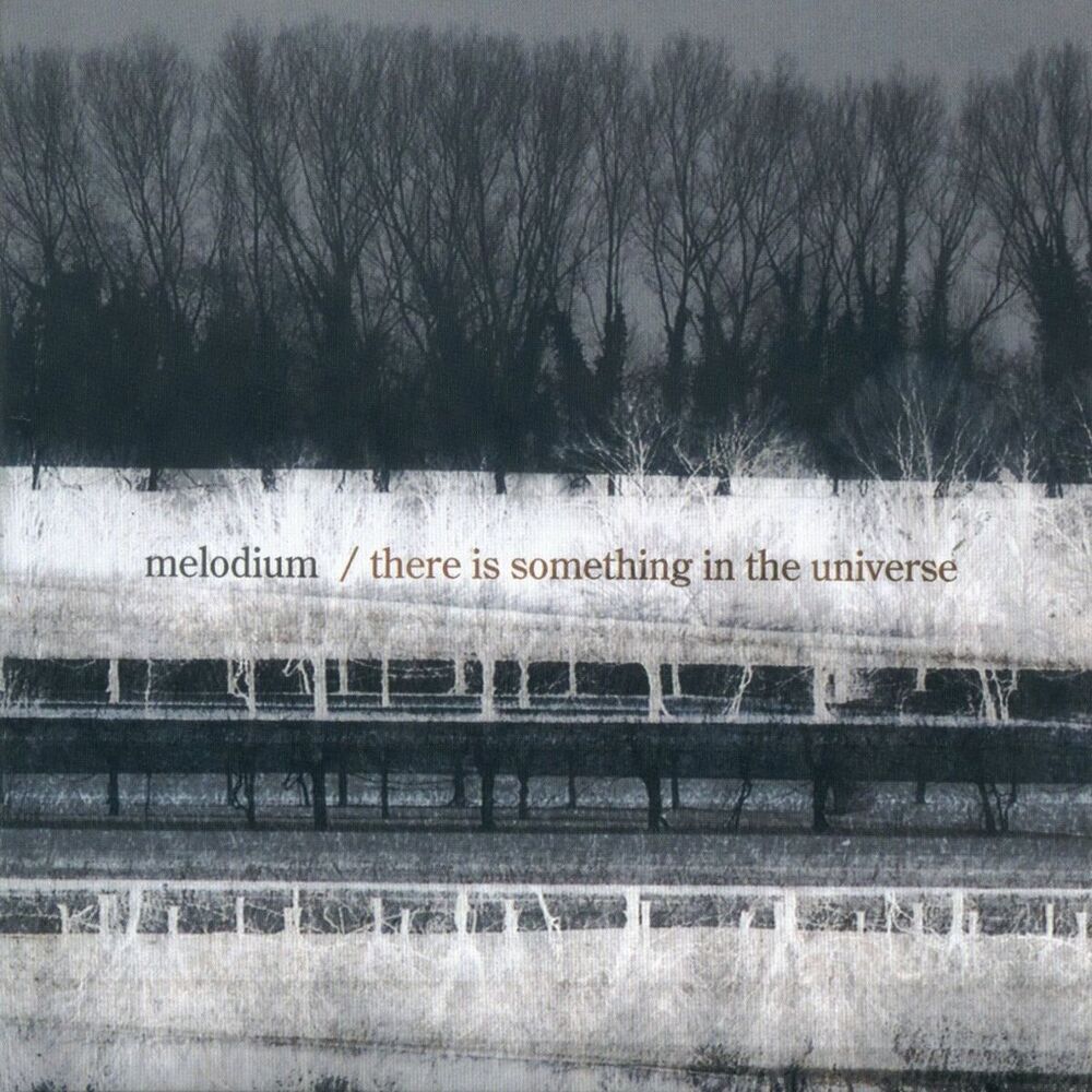 Picture of There Is Something in the Universe