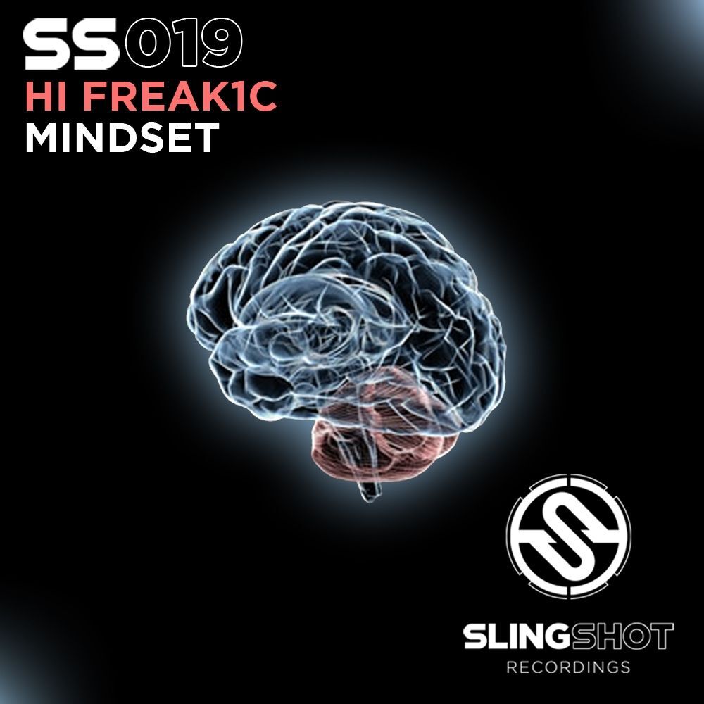 Picture of Mindset