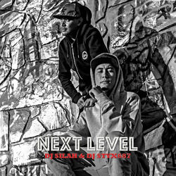 Cover of Next Level