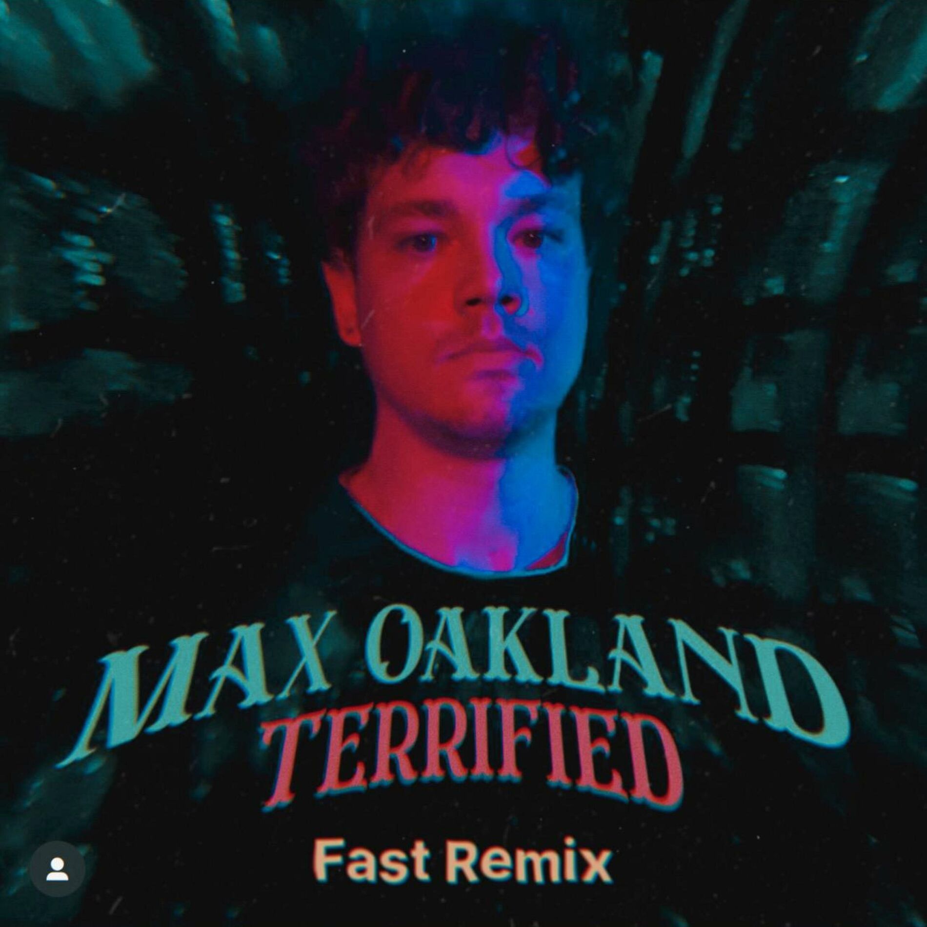 Album cover of …And You're Terrified of What You Found (Fast Remix)