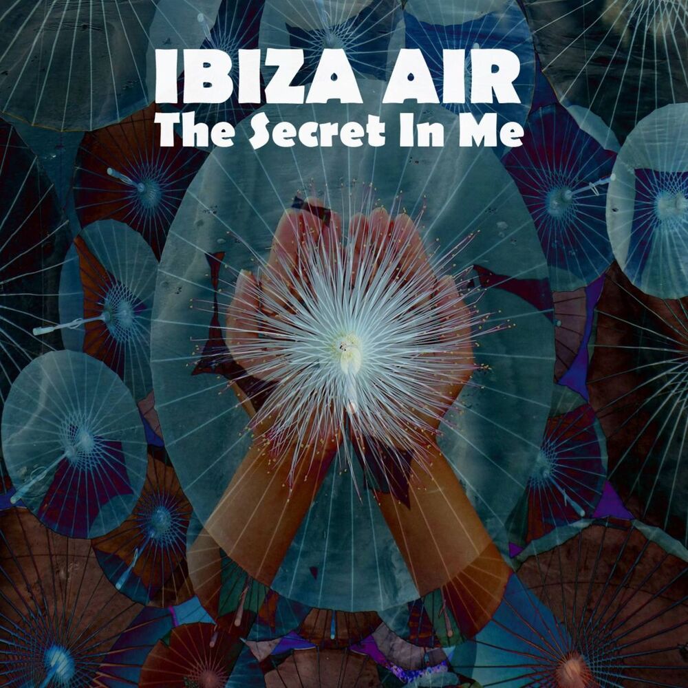 Picture of The Secret In Me