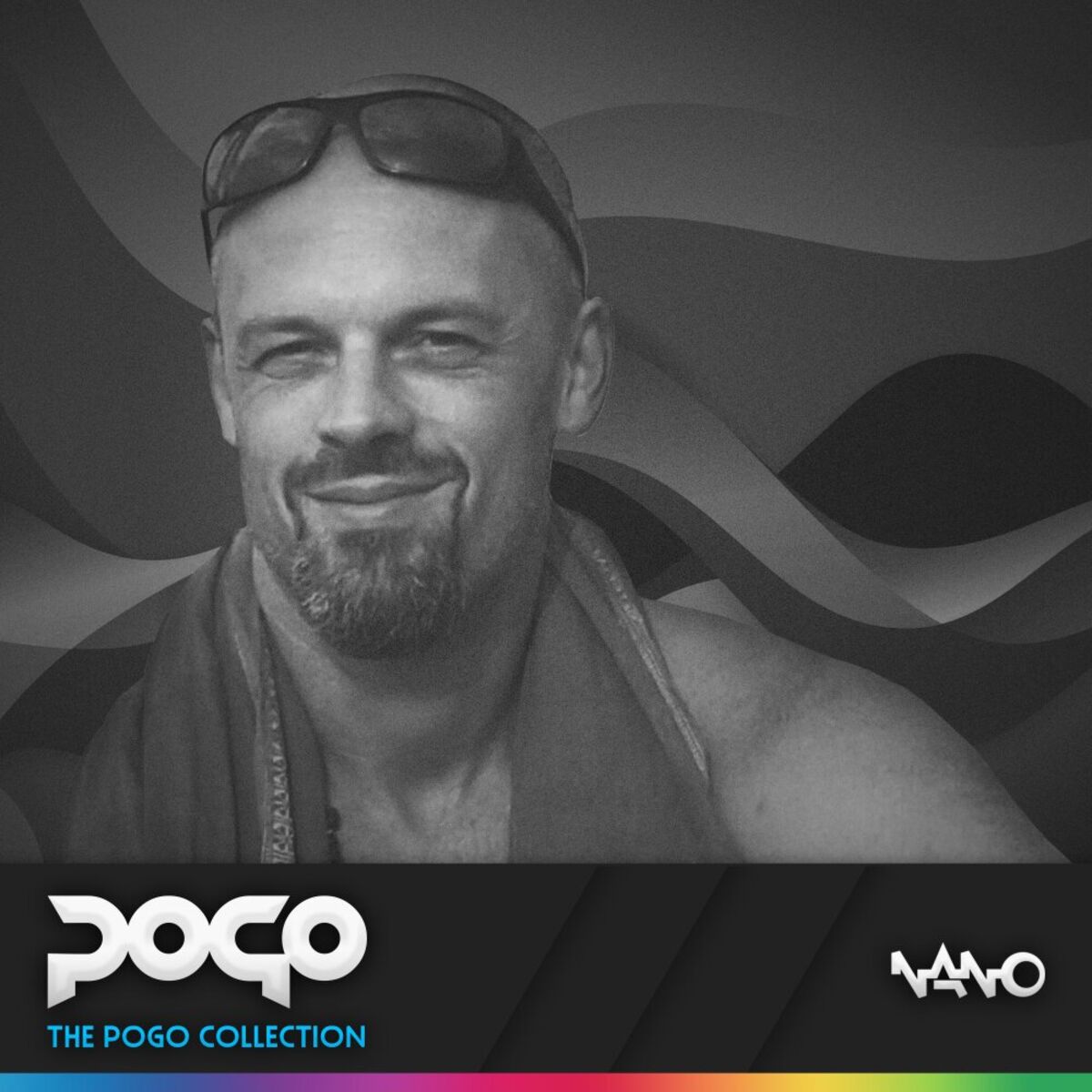 Album cover of The Pogo Collection