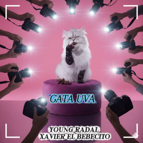 Gata Uva