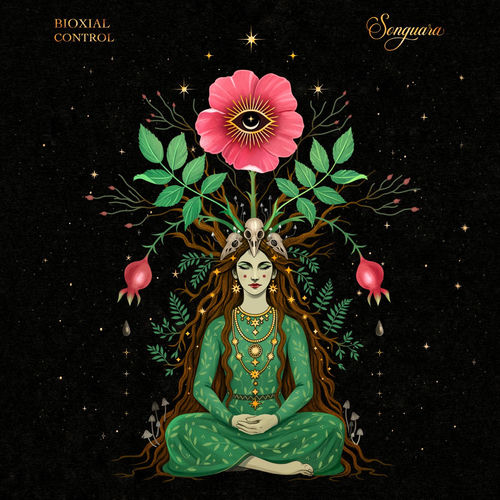 Bioxial - Control (2025) Bioxial - Control (2025)