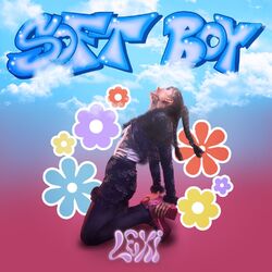 Cover of Soft Boy