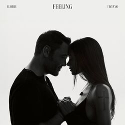 Cover of Feeling