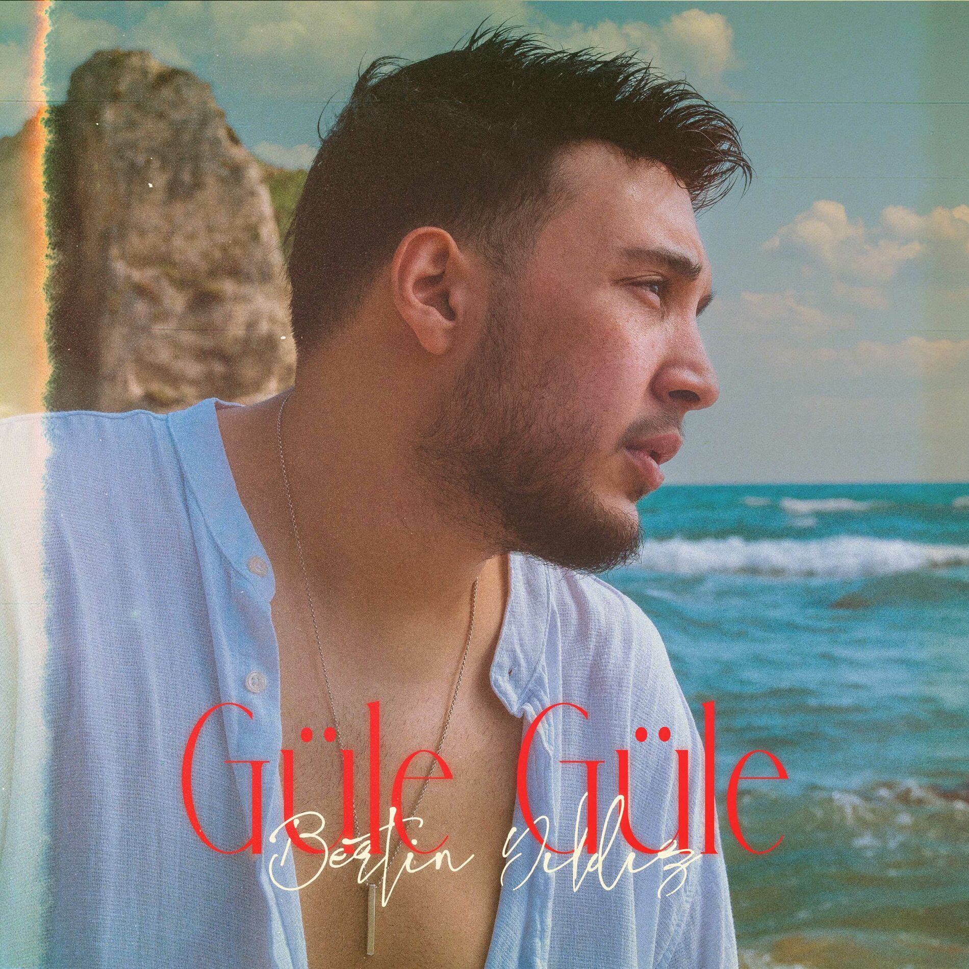 Album cover of Güle Güle