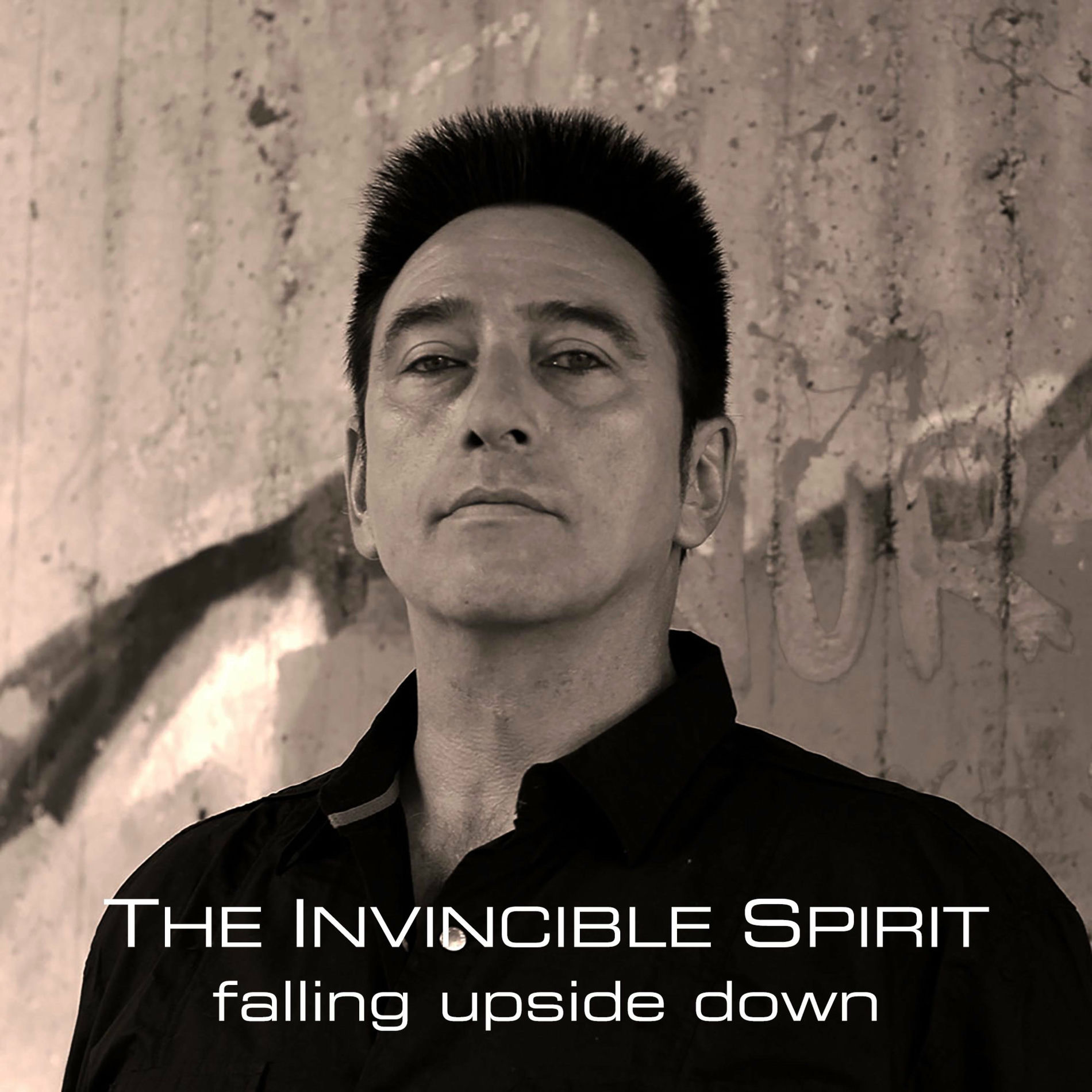 Album cover of falling upside down