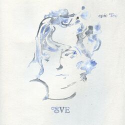 Cover of Don't Do It