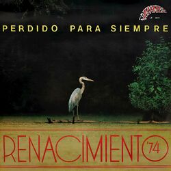 Cover of Perdido Para Siempre