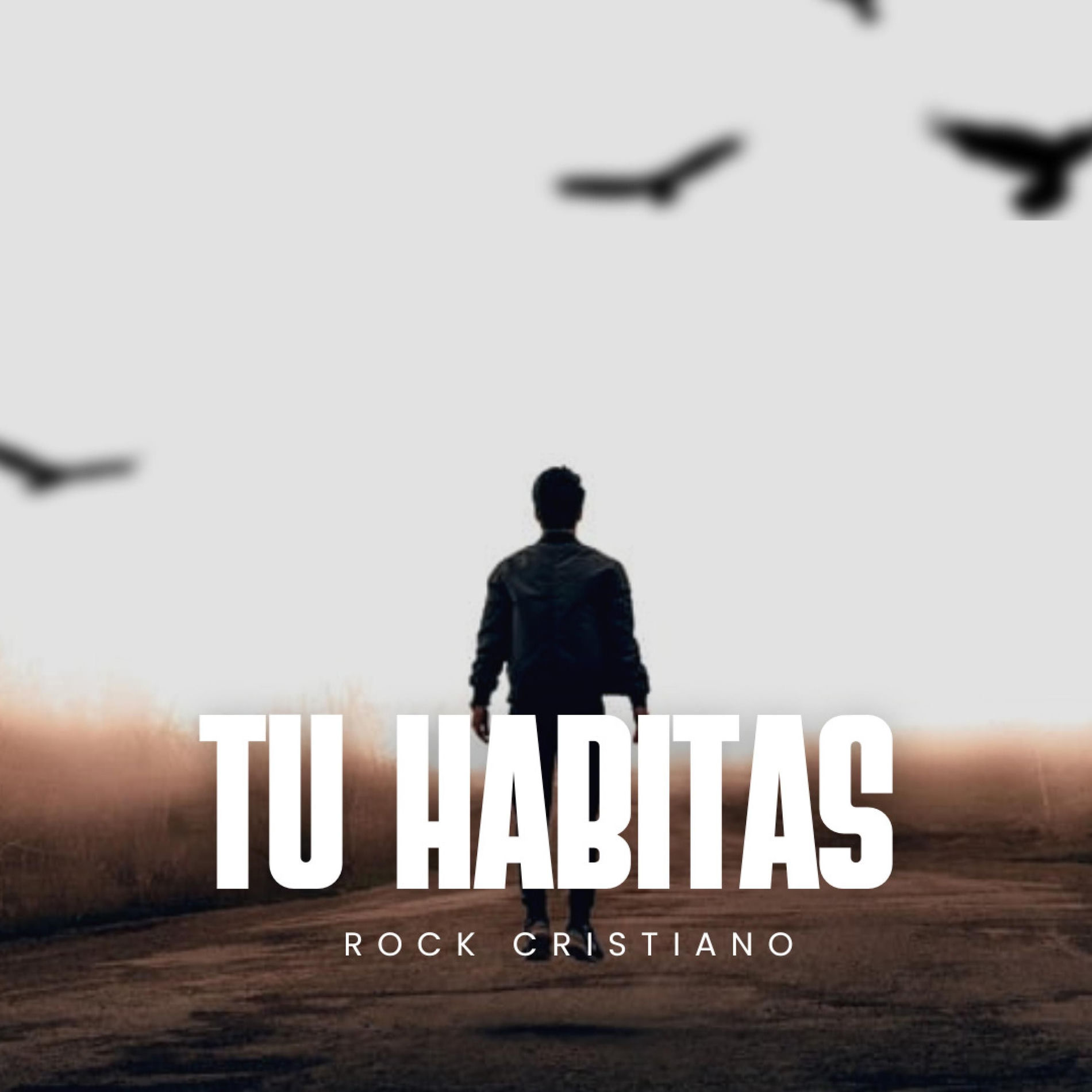 Album cover of TU HABITAS