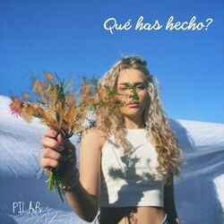 Cover of Que Has Hecho?