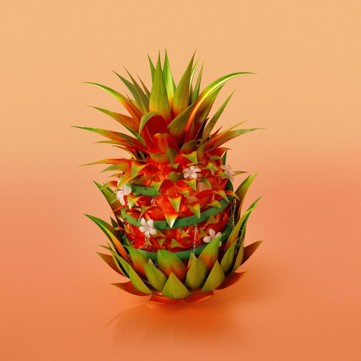 Album cover of Habaesha