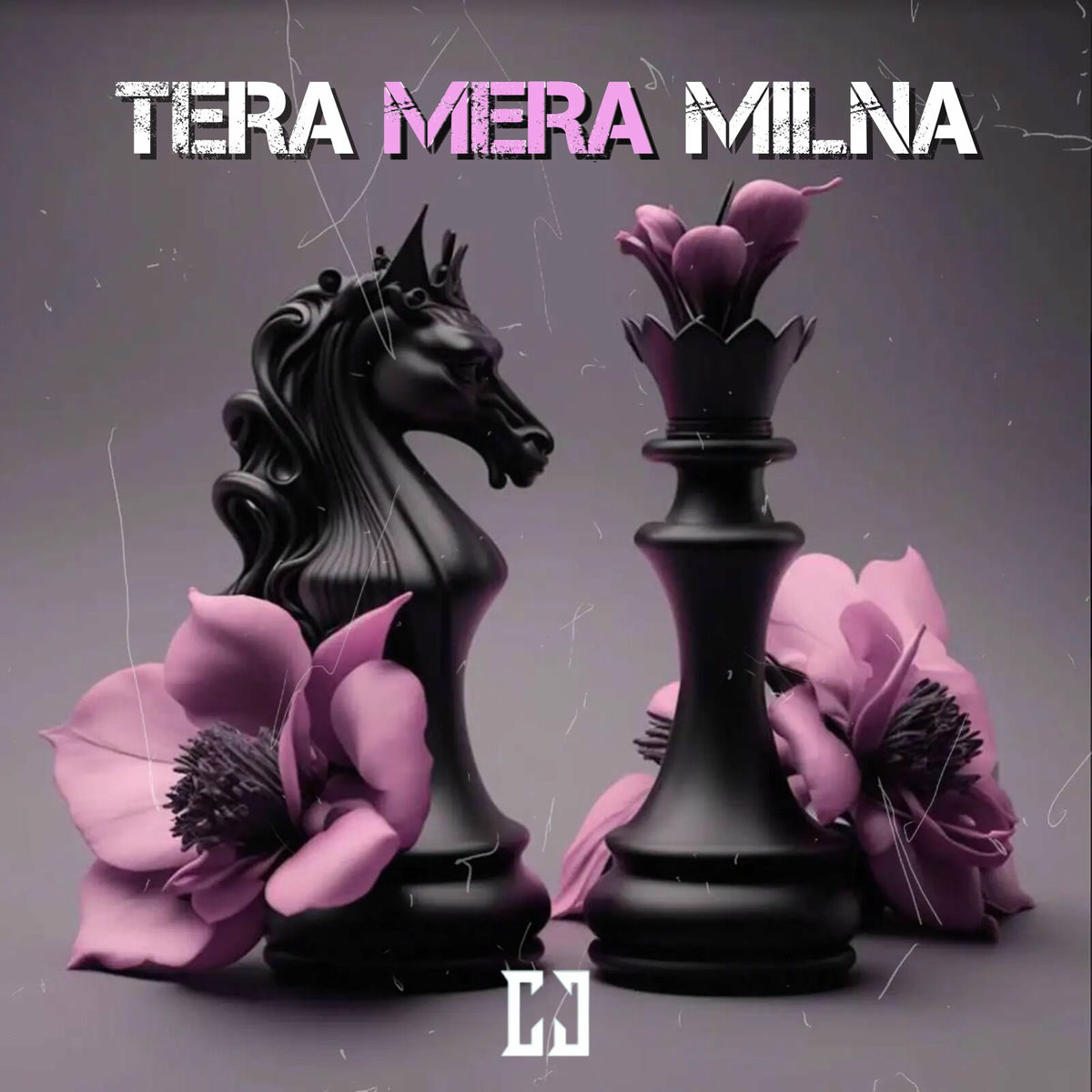 Album cover of Tera Mera Milna