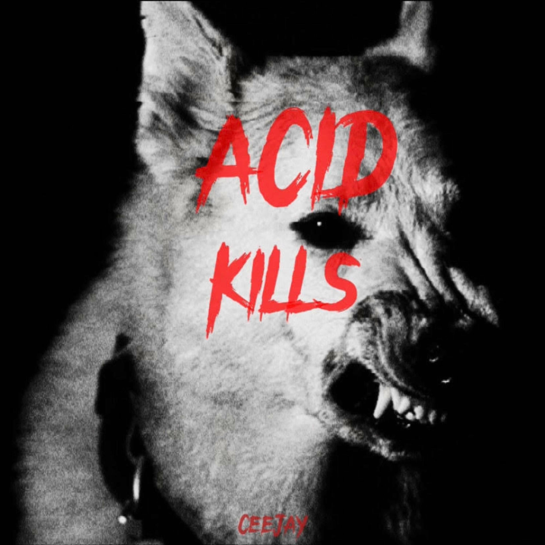 Album cover of ACID KILLS