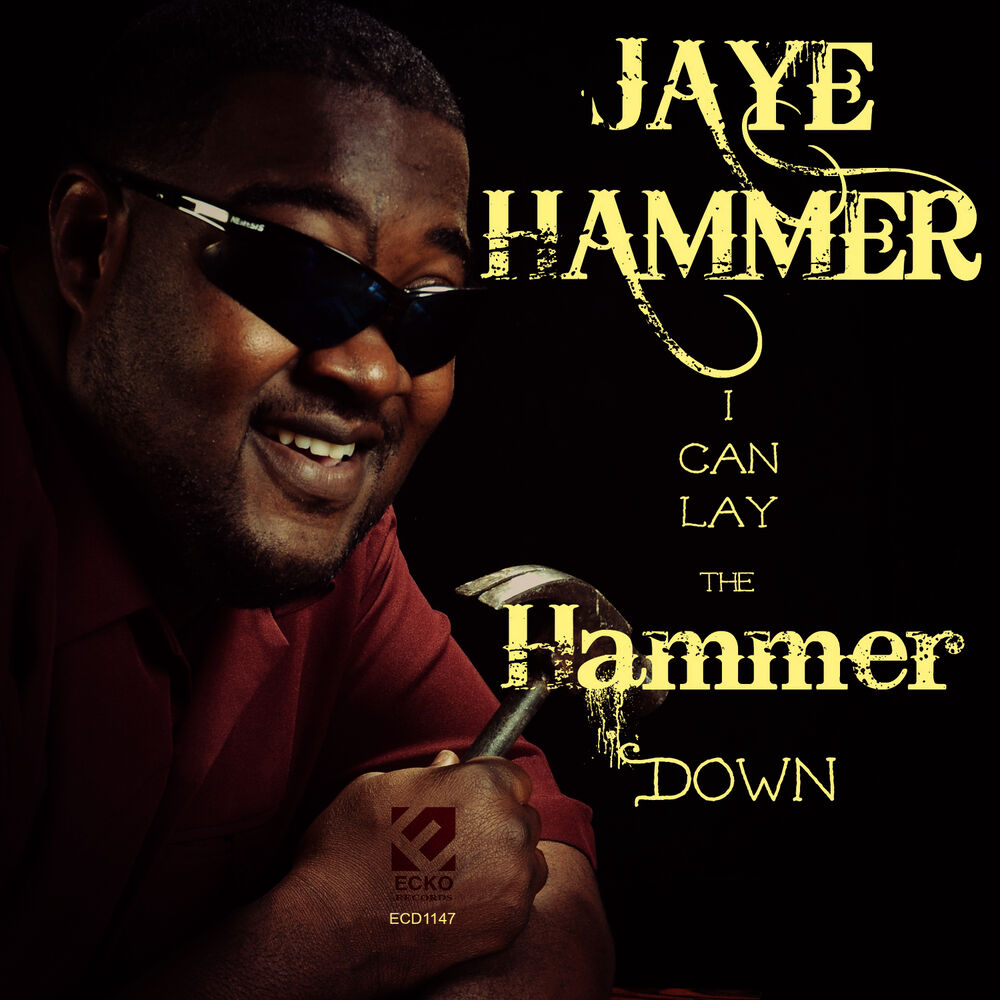 Picture of I Can Lay the Hammer Down