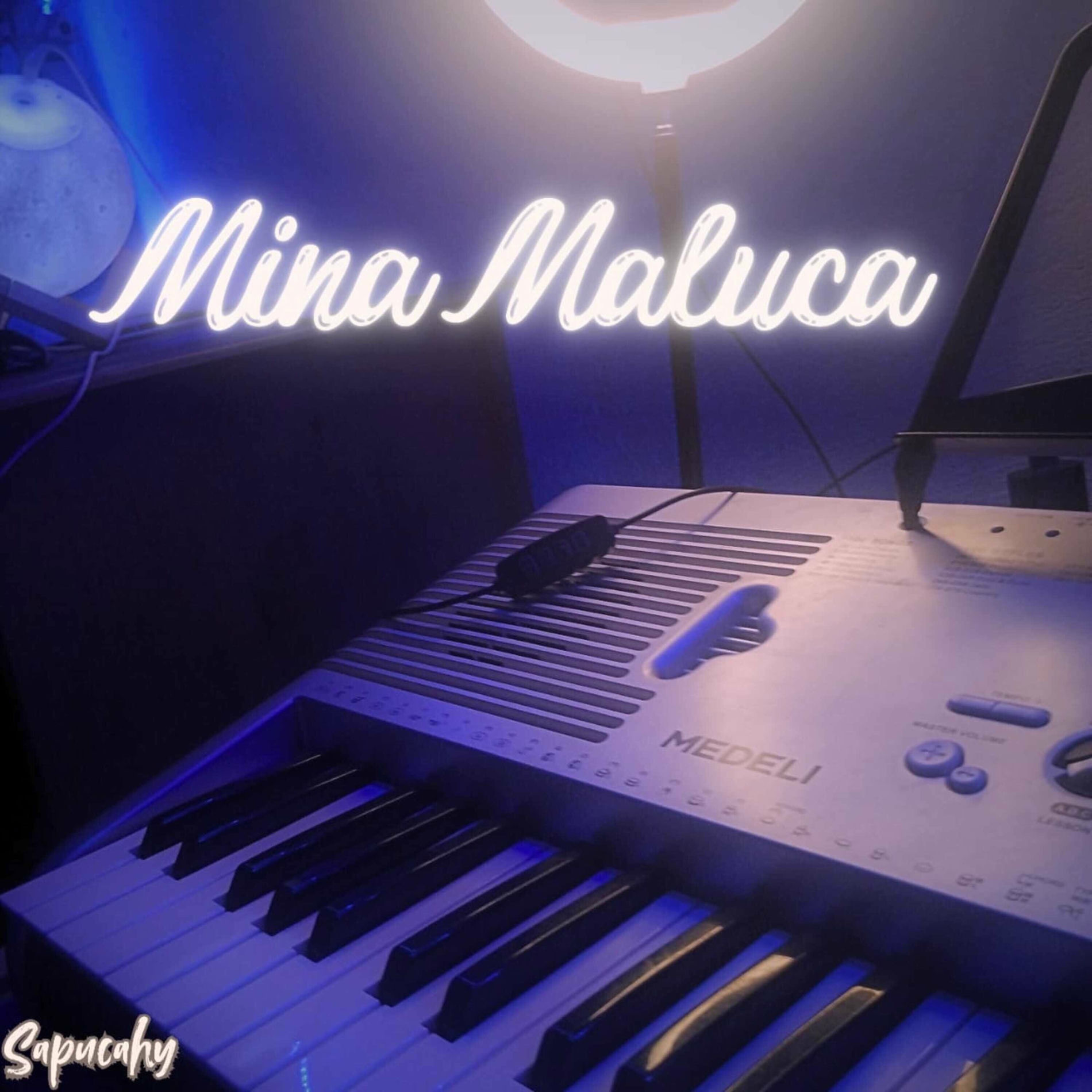 Album cover of Mina Maluca