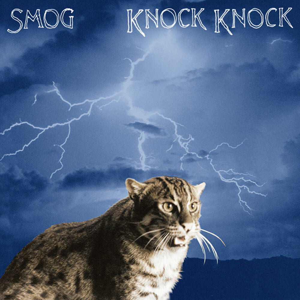 Picture of Knock Knock