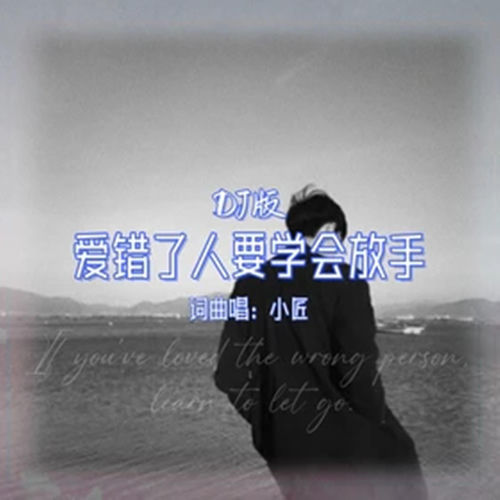 爱错了人要学会放手 (DJ版)