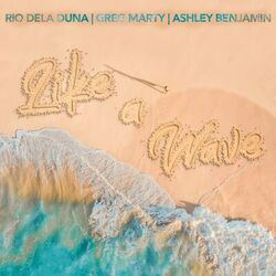 Cover of Like a Wave