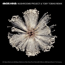 Cover of Space Mushrooms