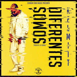 Cover of Somos Diferentes