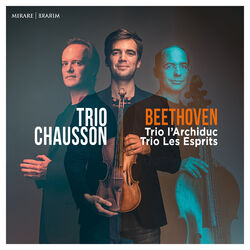 Cover of Beethoven: Trio L'Archiduc & les Esprits
