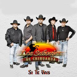 Cover of Si Te Vas
