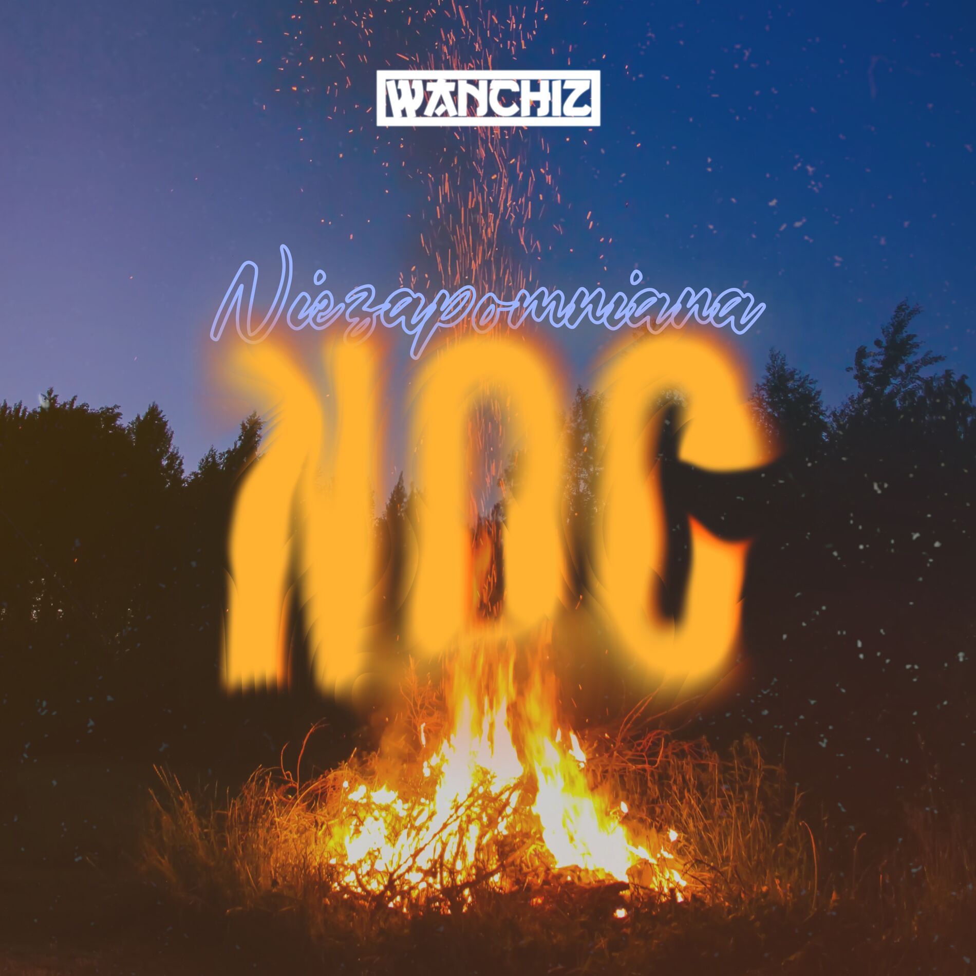 Album cover of Niezapomniana Noc