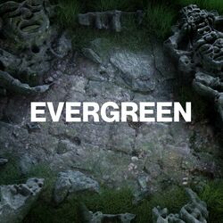 Cover of Evergreen