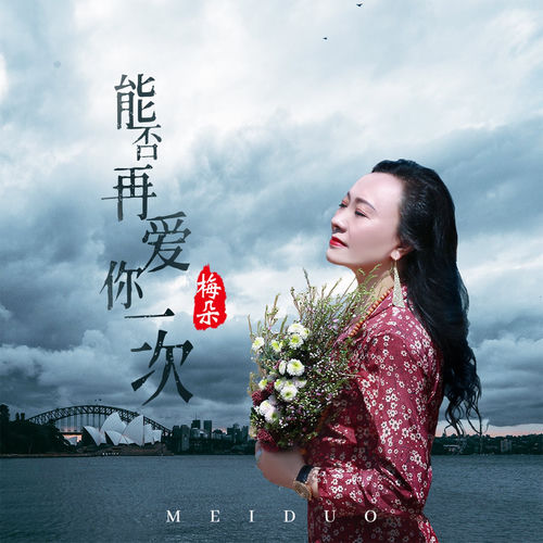 能否再爱你一次