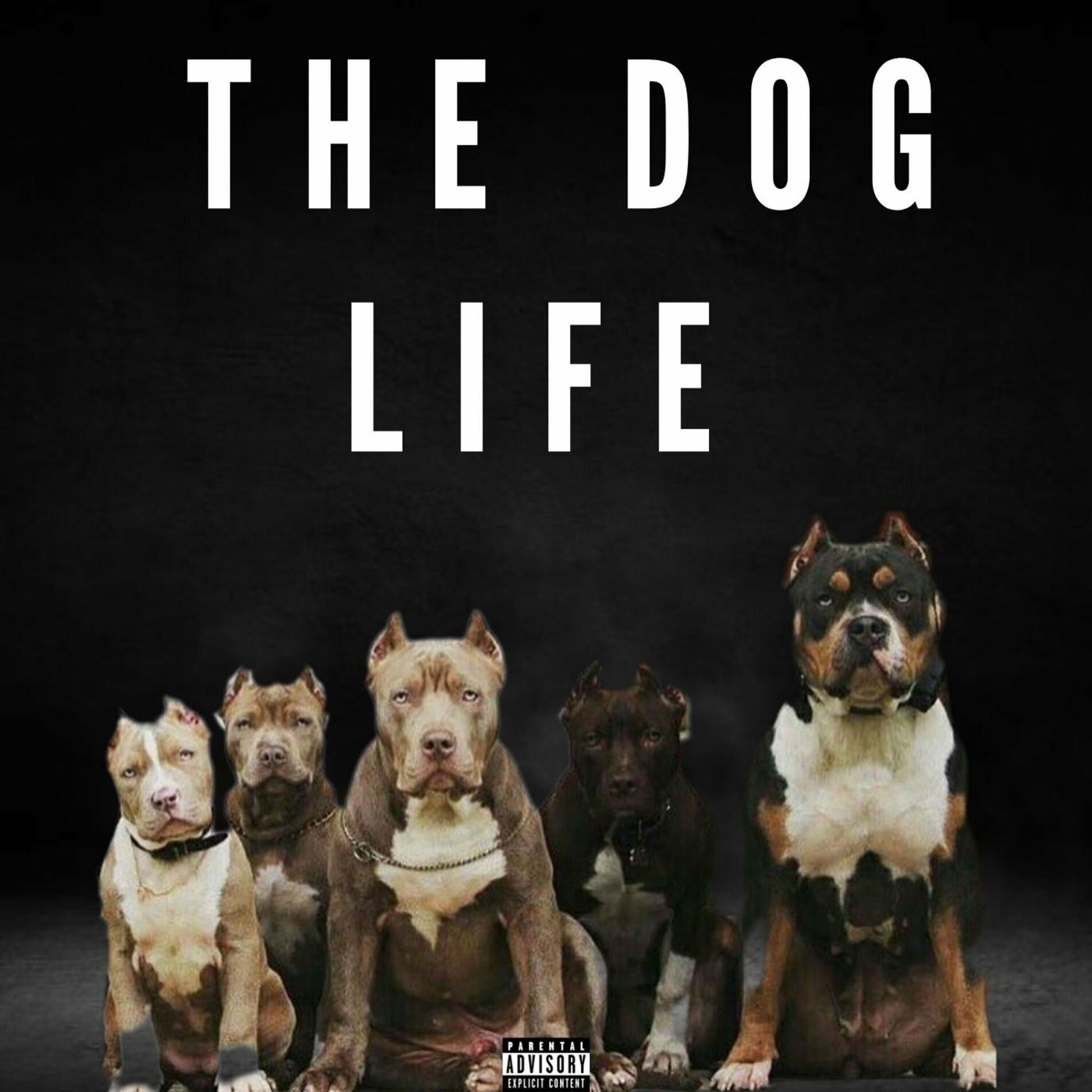Album cover of The Dog Life