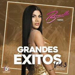 Cover of Grandes Éxitos, Vol. 3 (En Vivo)